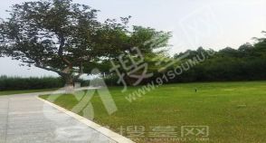 陵园风景图-2