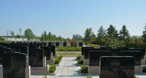 陵园风景图-7