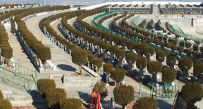 陵园风景图-5
